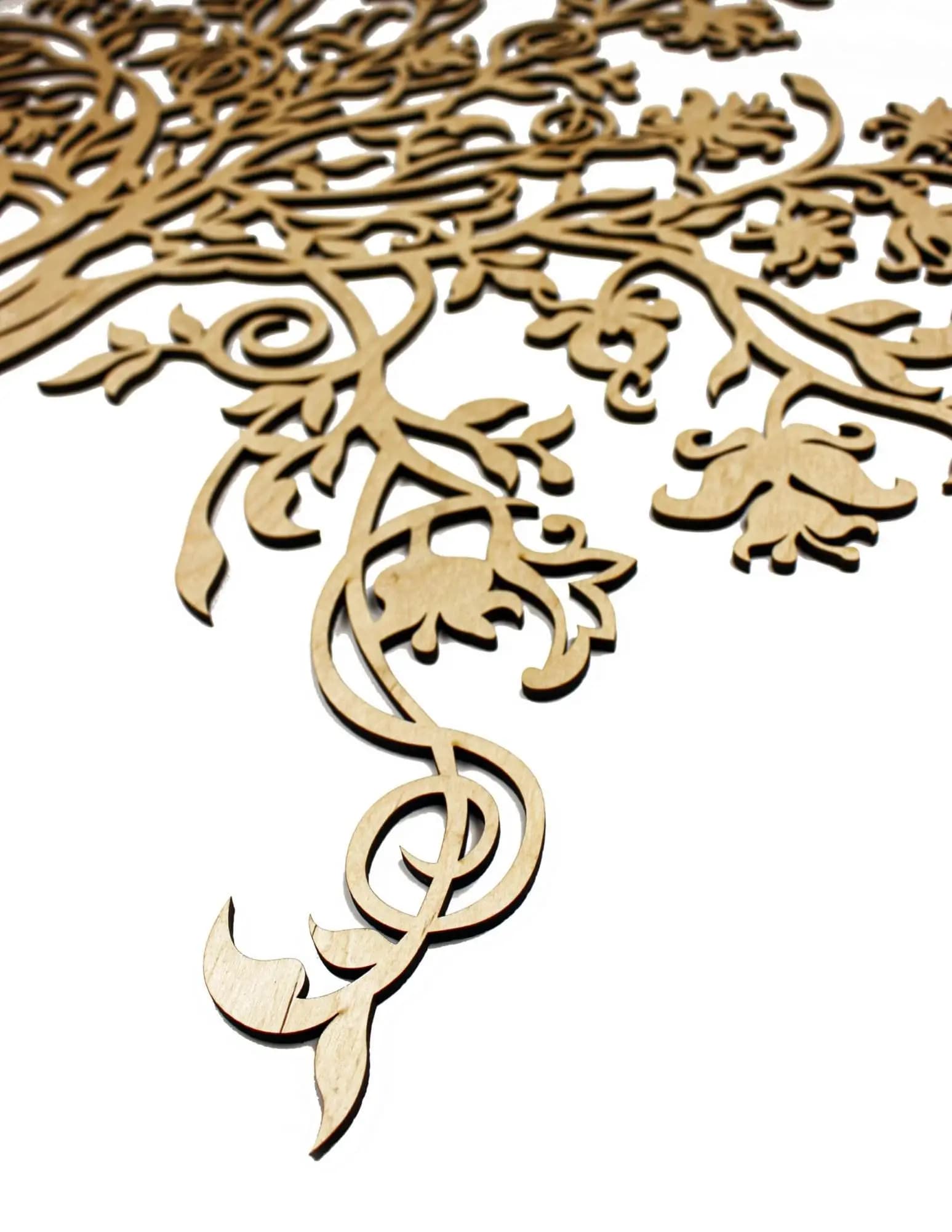 2024/08/MG_5744-scaled-1.webp
